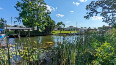 Lake Grassy Lot For Sale in Lake Placid Florida