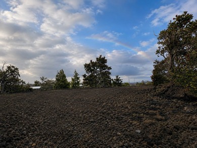 Beautifully graded and surveyed 1 acre parcel in the desirable - photo 3