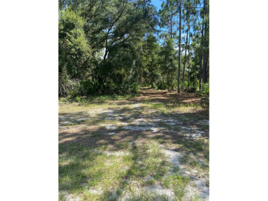 Lake Weohyakapka (Lake Walk-In-Water) Lot For Sale in Indian Lake Estates Florida