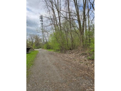 Lake Acreage For Sale in White Lake, Michigan