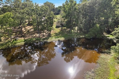 Southern charm in a scenic setting! Welcome to 402 Springwood - photo 48