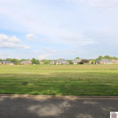 Ohio River Lot For Sale in Ledbetter Kentucky