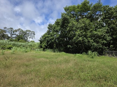 Don't miss this rare opportunity to own a 11,997-square-foot - photo 3