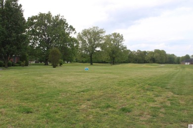 Ohio River Lot For Sale in Ledbetter Kentucky