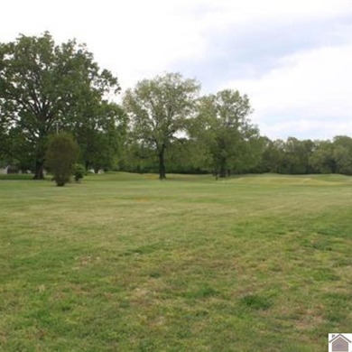 Lot#11 on Doral Court offers an exceptional opportunity to build - photo 4