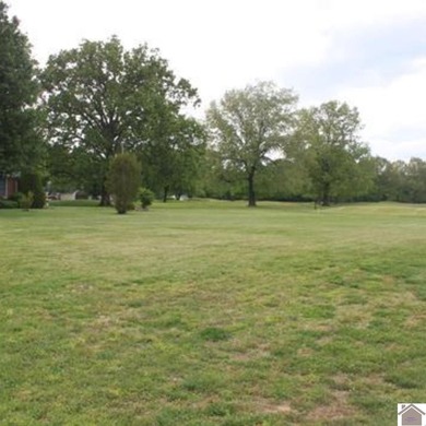 Lot#11 on Doral Court offers an exceptional opportunity to build - photo 5