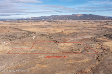Navajo Reservoir Acreage For Sale in Middle Mesa New Mexico