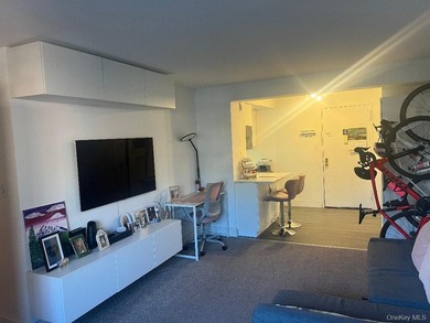 Beautiful Large, L Shaped Studio co-op, with sleeping alcove - photo 11