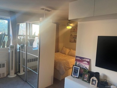 Beautiful Large, L Shaped Studio co-op, with sleeping alcove - photo 12