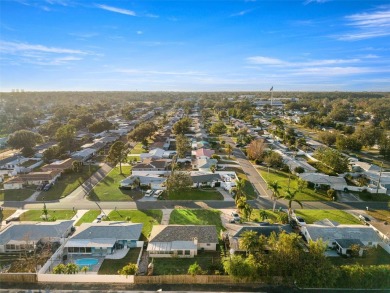 (private lake, pond, creek) Home For Sale in Seminole Florida