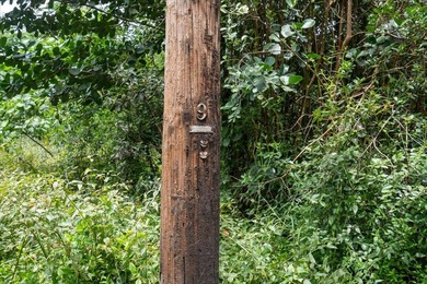 $105,000 One full acre of land located in highly desirable - photo 3