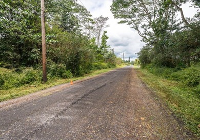 $105,000 One full acre of land located in highly desirable - photo 6
