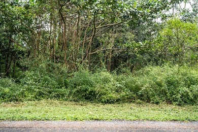 $105,000 One full acre of land located in highly desirable - photo 8