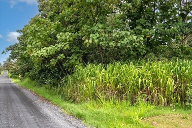 $105,000 One full acre of land located in highly desirable - photo 3