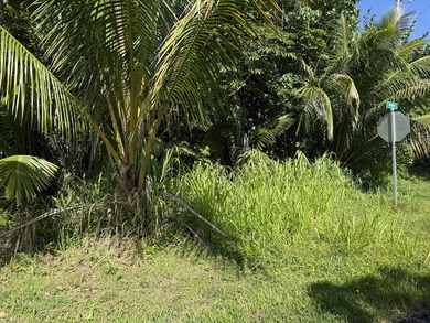 Beautiful corner lot in one of HPP's more desirable streets - photo 3