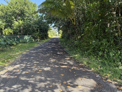 Beautiful corner lot in one of HPP's more desirable streets - photo 4