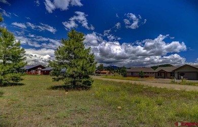 Lake Lot For Sale in Pagosa Springs, Colorado