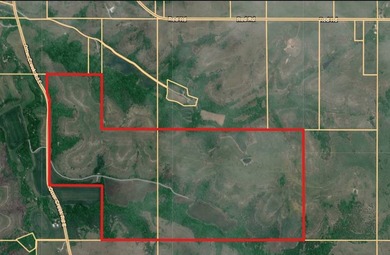 Exceptional 380-acre recreational property located in the Flint - photo 1