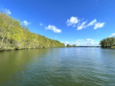 Wilson Lake Acreage For Sale in Killen Alabama