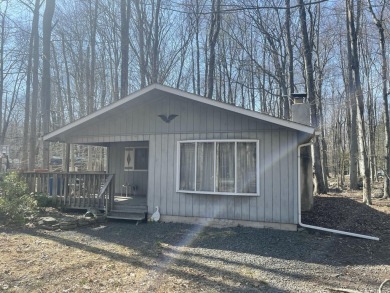 Lake Home For Sale in Pocono Lake, Pennsylvania