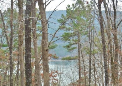 Lake Lot For Sale in Hot Springs Village, Arkansas