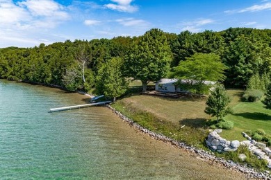  Home For Sale in Central Lake Michigan