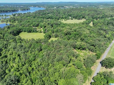 Welcome home to this beautiful 13.75+/- acre property nestled in - photo 12