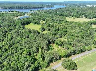 Welcome home to this beautiful 13.75+/- acre property nestled in - photo 13