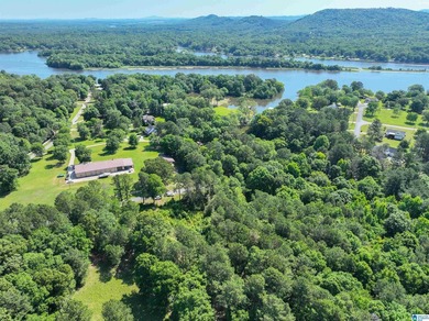 Welcome home to this beautiful 13.75+/- acre property nestled in - photo 16