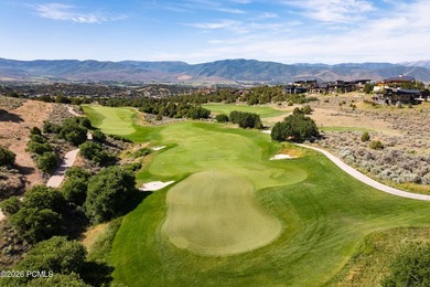 Discover one of the rare opportunities to own a homesite - photo 17