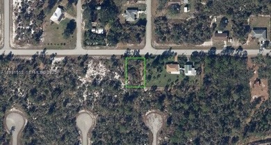 Lake Placid - Highland County Lot For Sale in Lake Placid Florida