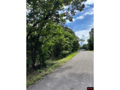 Bull Shoals Lake Acreage For Sale in Mountain Home Arkansas