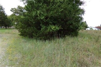 Lake Lot For Sale in Canadian, Oklahoma