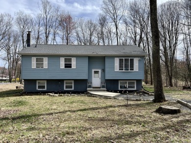 Lake Home For Sale in Kunkletown, Pennsylvania