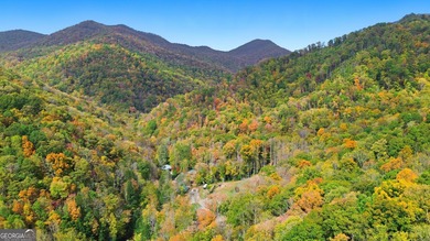 Lake Home For Sale in Clayton, Georgia