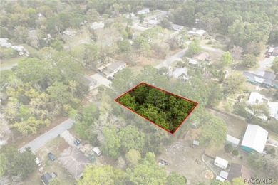 Two buildable lots for the price of one, with the option to - photo 11