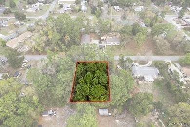 Two buildable lots for the price of one, with the option to - photo 12