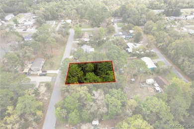 Two buildable lots for the price of one, with the option to - photo 14