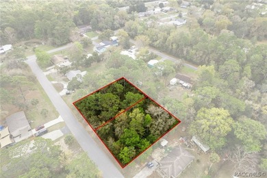 Two buildable lots for the price of one, with the option to - photo 15