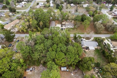 Two buildable lots for the price of one, with the option to - photo 21