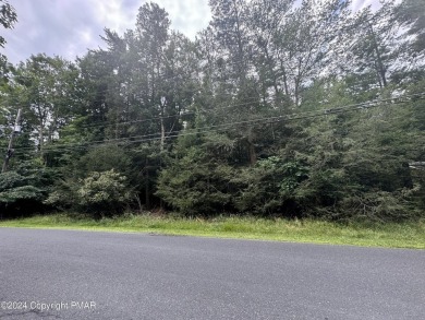 Lake Lot For Sale in Pocono Summit, Pennsylvania
