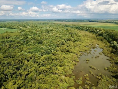 Lake Acreage For Sale in Griffin, Indiana