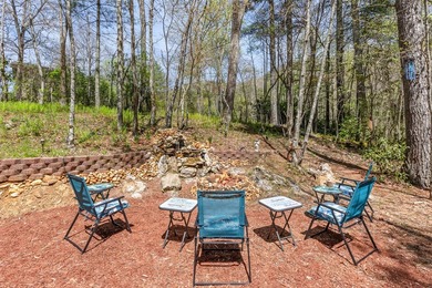 Charming handicap accessible mountain retreat near downtown - photo 50
