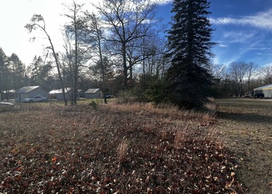 Burt Lake Lot For Sale in Indian River Michigan
