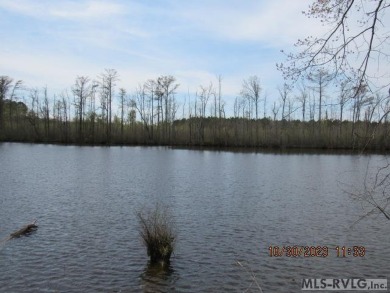 (private lake, pond, creek) Home For Sale in Como North Carolina