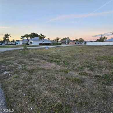 Prime Corner Lot for Sale in Cape Coral - 0.39 Acres | All - photo 2