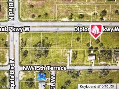 This is a Commercial lot. North Cape Coral has many restaurants - photo 3