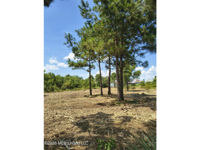 Approx .63 Acres of waterfront lot in Shoreline Park Subdivision - photo 5
