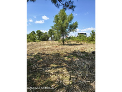 Approx .63 Acres of waterfront lot in Shoreline Park Subdivision - photo 10