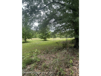 Perfect get away! 31 acres of fun for you. Hunting or fish in - photo 12
